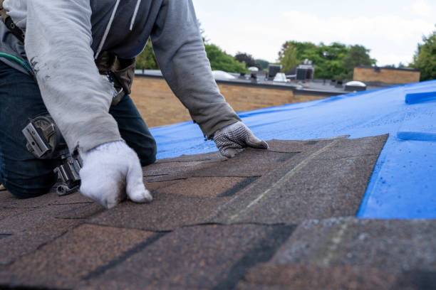Gutter Installation and Roofing in Roxborough Park, CO
